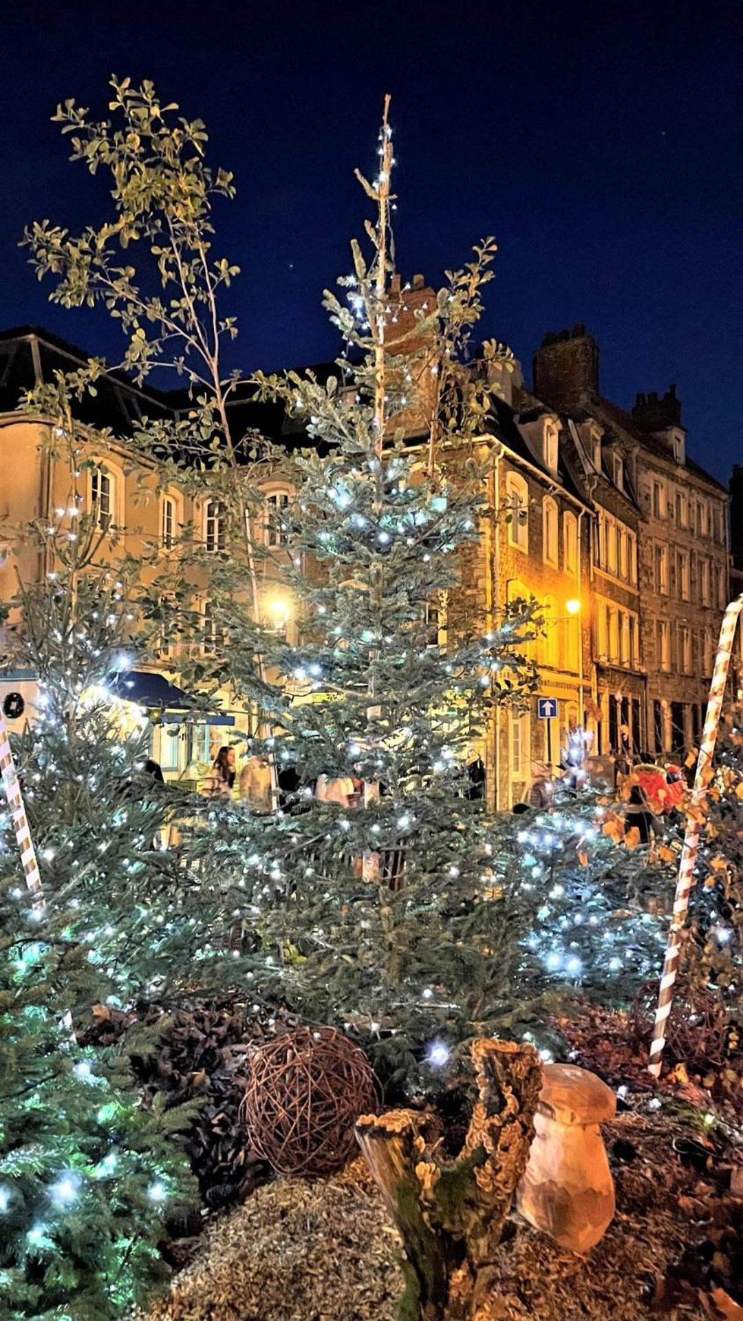 Cocon Lumineux Proche De La Ville Fortifiee Et De Nausicaa บูโลญ-ซูร์-แมร์ ภายนอก รูปภาพ